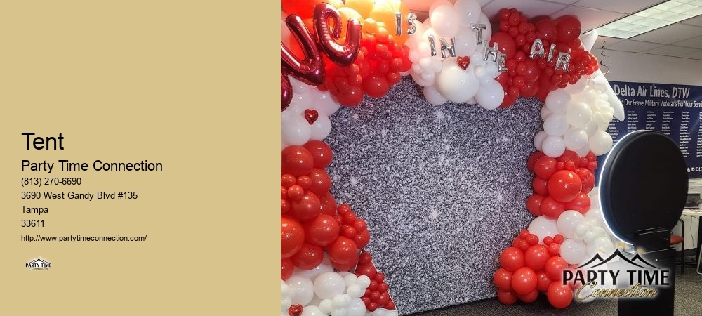 Bounce House Rentals And Slides For Parties In Tampa
